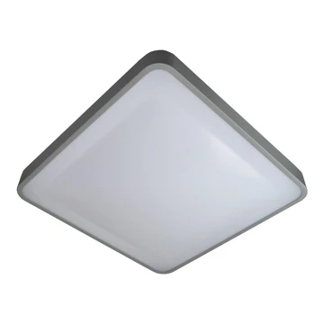 LED Plafon WILTON LED/24W/230V szary