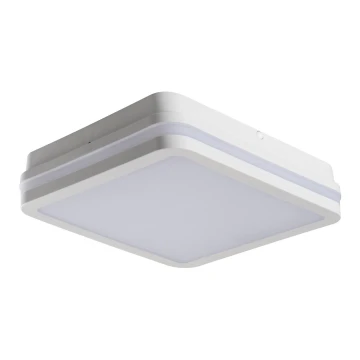 LED Plafon zewnętrzny BENO LED/24W/230V IP54 biały