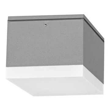 LED Plafon zewnętrzny BRUNO LED/10W/230V IP54