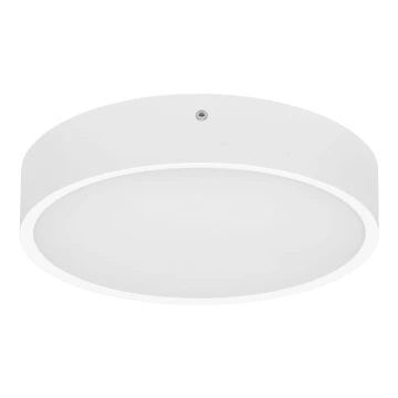 LED Plafon zewnętrzny MARTIN LED/15W/230V 3000/4000K śr. 30 cm IP65 biały