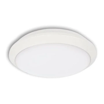 LED Plafon zewnętrzny TIPO LED/24W/230V IP66