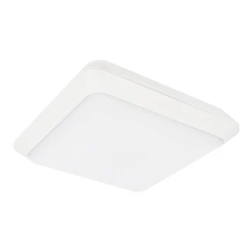 LED Plafon zewnętrzny TIPO LED/24W/230V IP66