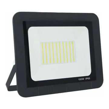 LED Reflektor zewnętrzny LED/100W/230V 6500K IP65