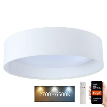 LED Ściemnialna lampa SMART GALAXY LED/36W/230V śr. 55 cm Wi-Fi Tuya + pilot