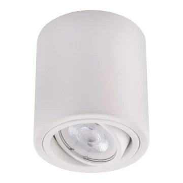 LED Spotlight TUBA 1xGU10/5W/230V 2700K biały