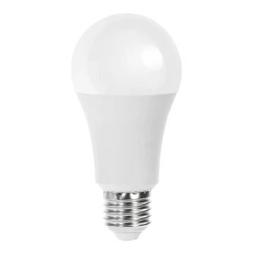 LED Żarówka A60 E27/21W/230V 3000K - Aigostar