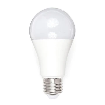 LED Żarówka A80 E27/18W/230V 3000K