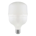 LED Żarówka T80 E27/20W/230V 4000K