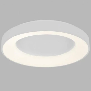 LED2 - LED Oświetlenie sufitowe BELLA LED/40W/230V 3000/4000K białe