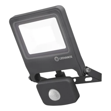 Ledvance - LED Reflektor ENDURA z czujnikiem LED/20W/230V IP44