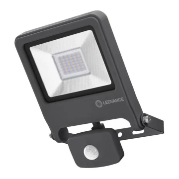 Ledvance - LED Reflektor ENDURA z czujnikiem LED/30W/230V IP44