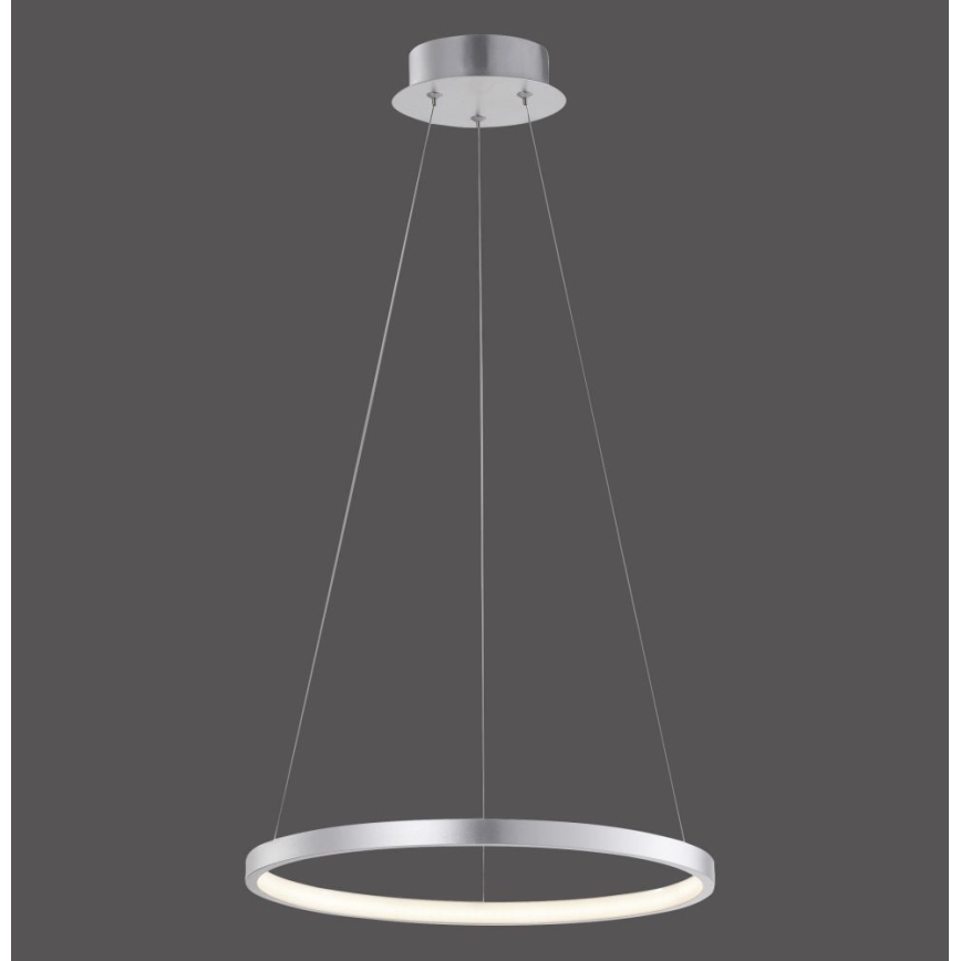 Leuchten Direkt 11522-21 - LED Żyrandol na lince CIRCLE LED/19W/230V