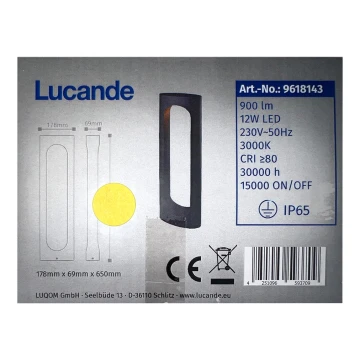 Lucande - LED Lampa zewnętrzna FENTI LED/12W/230V IP65