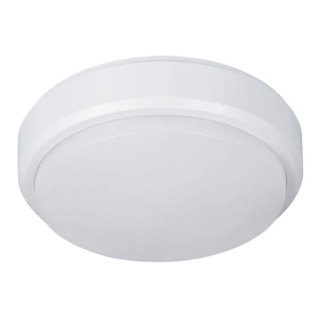 Müller-Licht - LED Plafon zewnętrzny PICTOR LED/8W/230V IP54