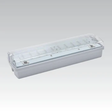 Oprawa awaryjna CARLA LED LED/5,51W/230V IP65