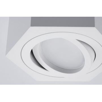 Oświetlenie punktowe ARENO 1xGU10/30W/230V białe