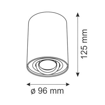 Oświetlenie punktowe HADAR R1 1xGU10/10W/230V biały