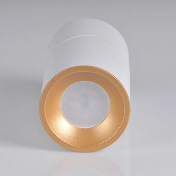 Oświetlenie punktowe NIXA 1xGU10/10W/230V biały/złoty