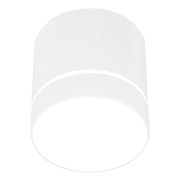 Oświetlenie punktowe TUBA 1xGU10/15W/230V biały