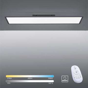 Paul Neuhaus 16533-16-O - LED Ściemniany panel natynkowy FLAT LED/24W/230V 2700-5000K black + pilot