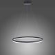 Paul Neuhaus 2383-13 - LED Ściemniany żyrandol na lince TITUS LED/50W/230V