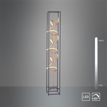 Paul Neuhaus 415-18 - LED Ściemnialna lampa podłogowa SELINA 3xLED/10,2W/230V