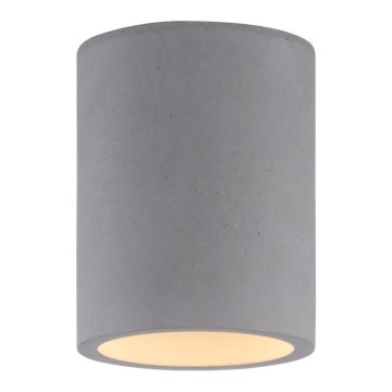Paul Neuhaus 6160-22 - Oświetlenie punktowe ETON 1xGU10/10W/230V beton