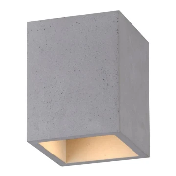 Paul Neuhaus 6161-22 - Oświetlenie punktowe ETON 1xGU10/10W/230V beton