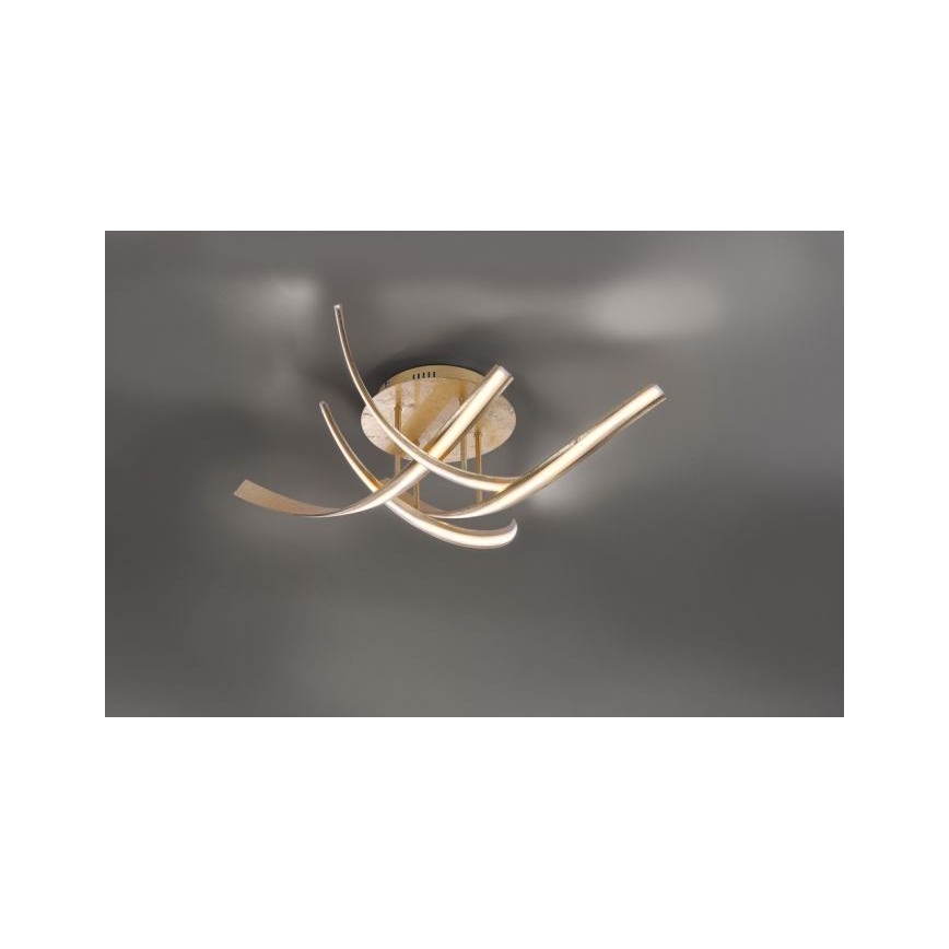 Paul Neuhaus 6474-12 - LED Ściemnialny żyrandol natynkowy LINDA 4xLED/7W/230V