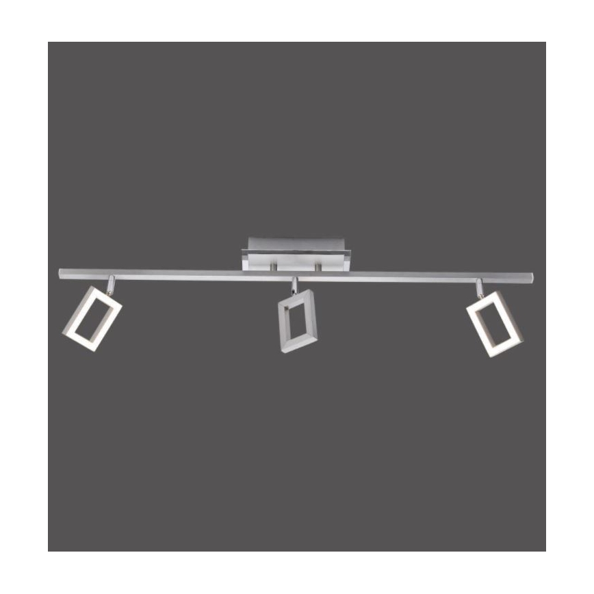 Paul Neuhaus 6959-55 - LED Oświetlenie punktowe INIGO 3xLED/4,2W/230V