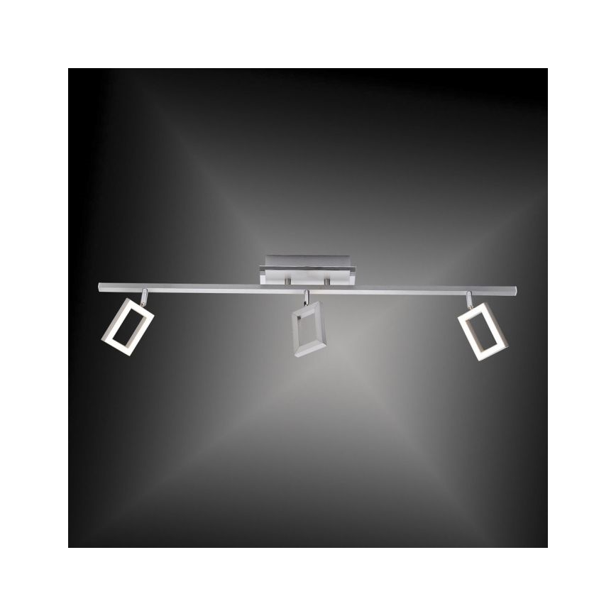 Paul Neuhaus 6959-55 - LED Oświetlenie punktowe INIGO 3xLED/4,2W/230V