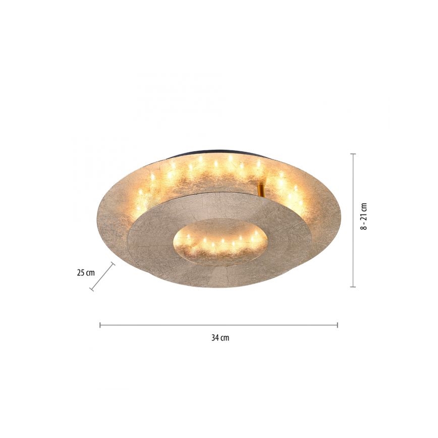 Paul Neuhaus 9011-12 - LED Plafon NEVIS LED/6W/230V złoty