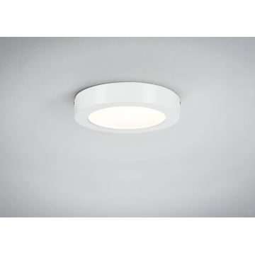 Paulmann 70641 - LED/11W Lampa sufitowa LUNAR 230V śr. 17 cm biała
