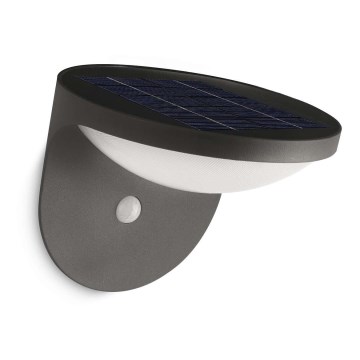 Philips - LED Lampa solarna z czujnikiem 1xLED/1W/3,7V IP44