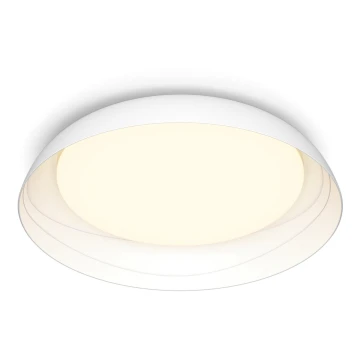 Philips - LED Plafon ściemnialny FLETA LED/10W/230V 2700K biały