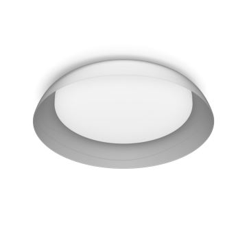 Philips - LED Plafon ściemnialny FLETA LED/10W/230V 2700K przezroczysty