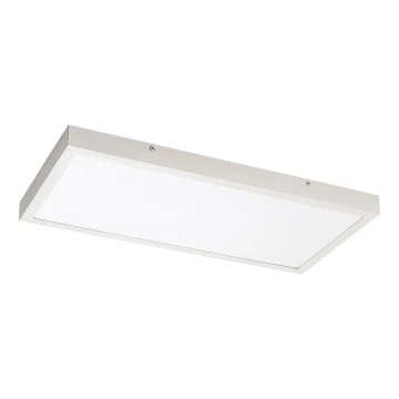 Rabalux - LED Panel natynkowy LED/24W/230V 4000K 60x30 cm