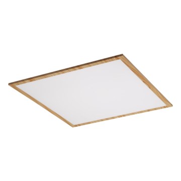 Rabalux - LED Panel natynkowy LED/40W/230V 4000K