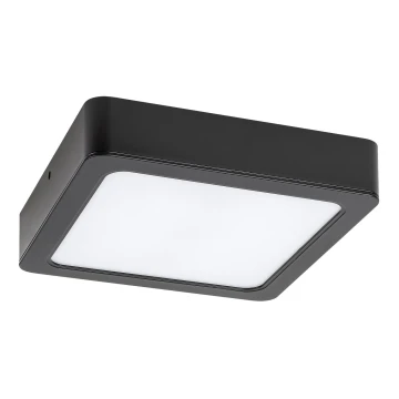 Rabalux - LED Plafon łazienkowy LED/24W/230V 22 cm IP44