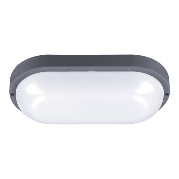 LED Kinkiet zewnętrzny LED/20W/230V 4000K IP54 szary elipsa