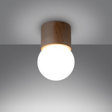 Oświetlenie punktowe BOOMO 1xG9/8W/230V buk