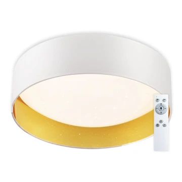 Top Light - LED Plafon ściemnialny IVONA 40B +pilot LED/24W/230V + pilot zdalnego sterowania biały