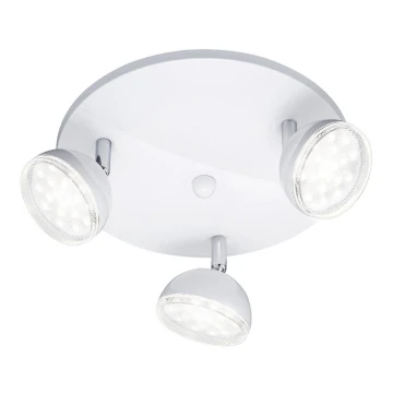 Trio - LED Oświetlenie punktowe BOLOU 3xLED/3,8W/230V