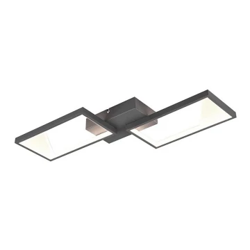 Trio - LED Ściemnalny żyrandol natynkowy CAFU 2xLED/7W/230V