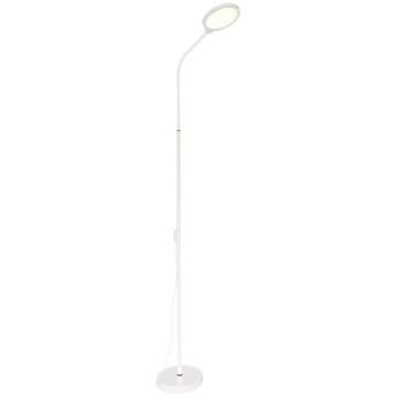 Zuma Line  - LED Ściemnialna lampa podłogowa LED/10W/230V 3000/4500/6500K biała